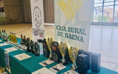 Talento sobre el tablero: éxito del XVIII Trofeo de Ajedrez ‘Ciudad de Baena’